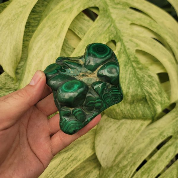Bull s Eye Malachite (1.1 lbs _ SL-174) For Discount